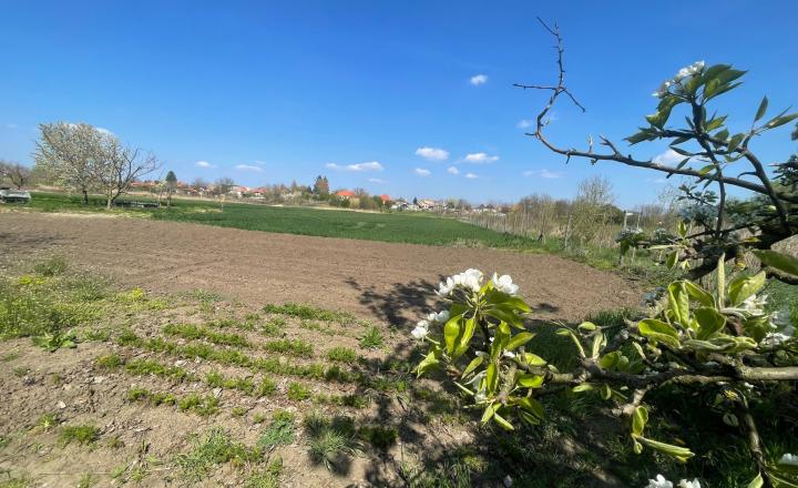 MH296-Zľava 4000,-EUR!Na predaj zachovalý rodinný dom s veľkým pozemkom - fotografia 15